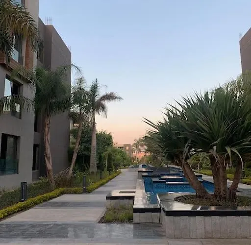Silver Palm Compound